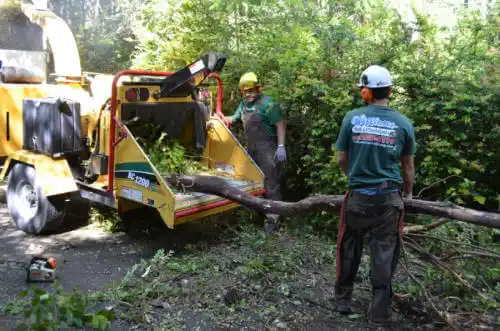 tree services Cleveland